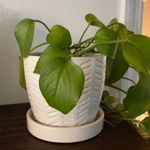 Meet your Posher, Kathryne